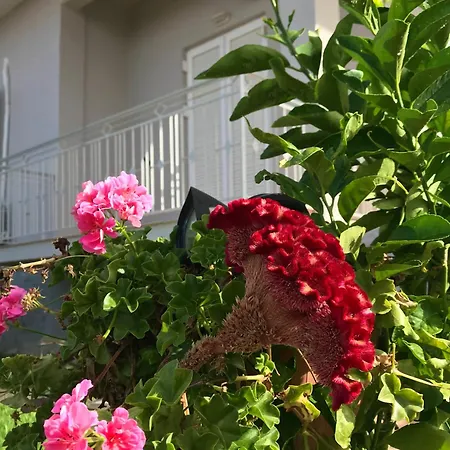 Kalimera Apartamento Kalamata