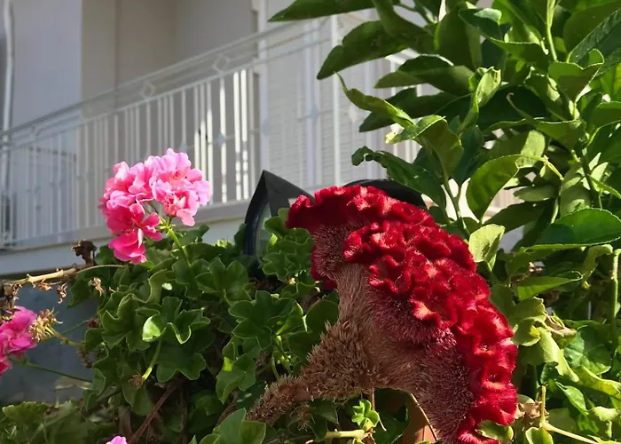 Kalimera 아파트 칼라마타